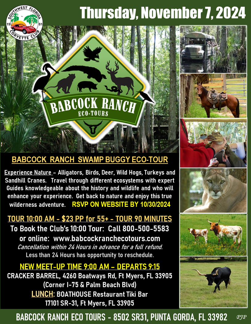 babcock new